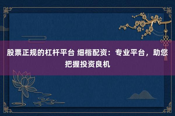 股票正规的杠杆平台 细楷配资：专业平台，助您把握投资良机