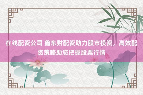 在线配资公司 鑫东财配资助力股市投资，高效配资策略助您把握股票行情