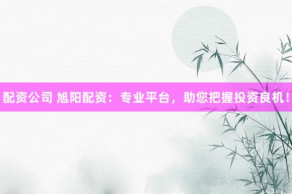 配资公司 旭阳配资：专业平台，助您把握投资良机！