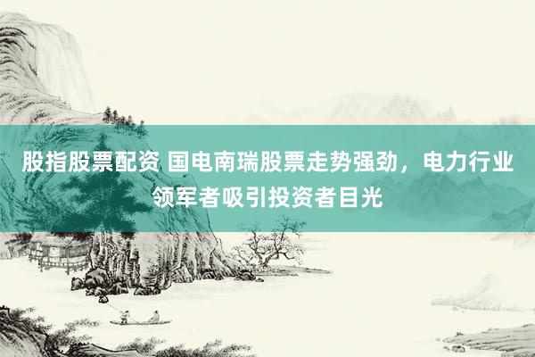 股指股票配资 国电南瑞股票走势强劲，电力行业领军者吸引投资者目光