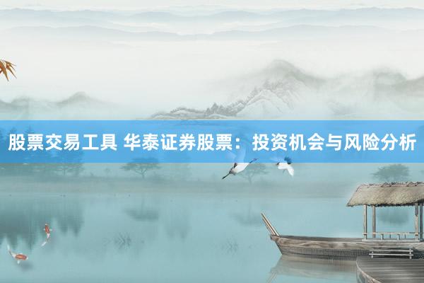 股票交易工具 华泰证券股票：投资机会与风险分析