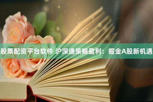 股票配资平台软件 沪深通策略盈利：掘金A股新机遇