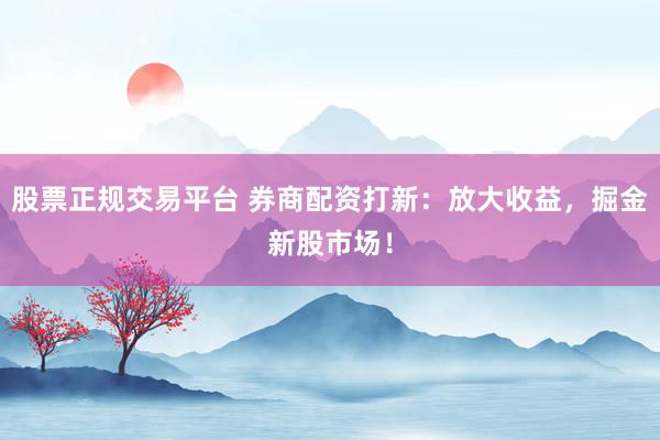 股票正规交易平台 券商配资打新：放大收益，掘金新股市场！