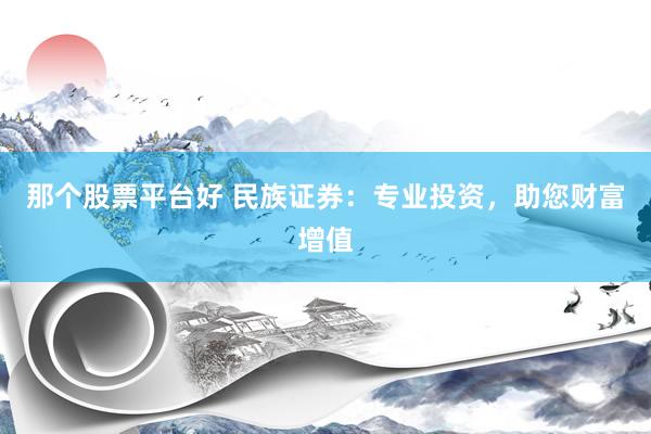 那个股票平台好 民族证券：专业投资，助您财富增值