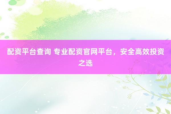 配资平台查询 专业配资官网平台，安全高效投资之选